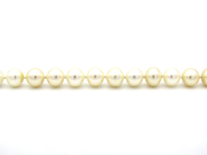 18K gold Protea pearl bracelet by Browns.