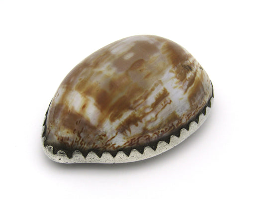 Cape silver cowrie shell snuff box by John Townsend, Circa 1825.