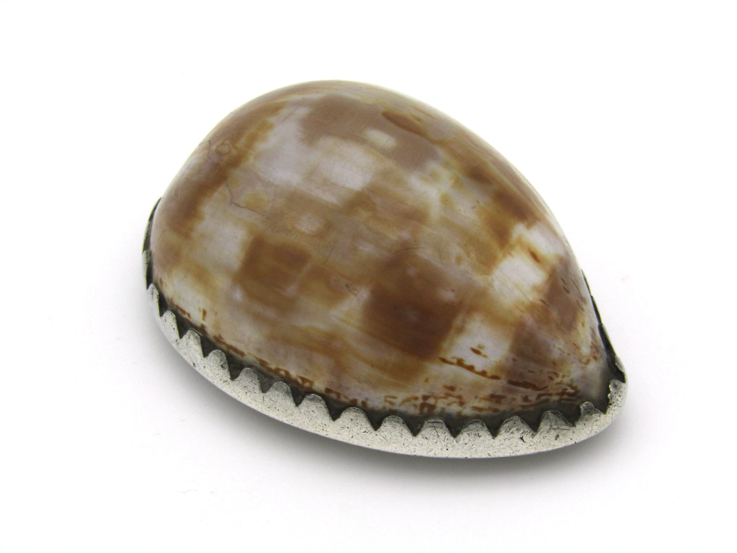 Cape silver cowrie shell snuff box by John Townsend, Circa 1825.