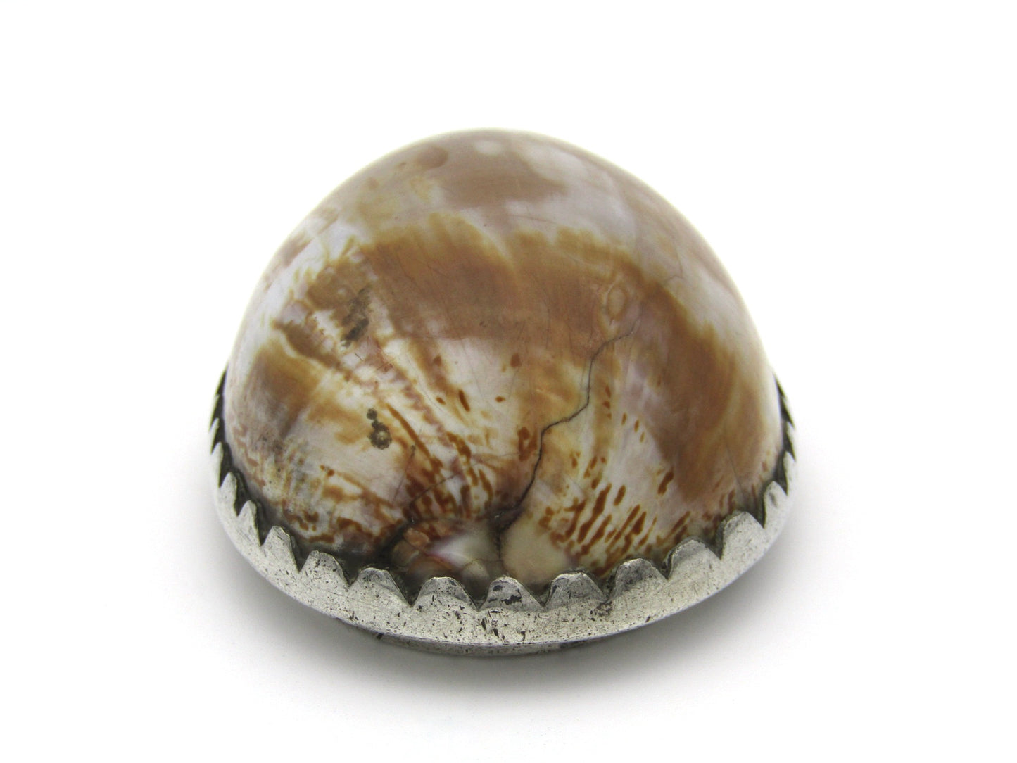 Cape silver cowrie shell snuff box by John Townsend, Circa 1825.