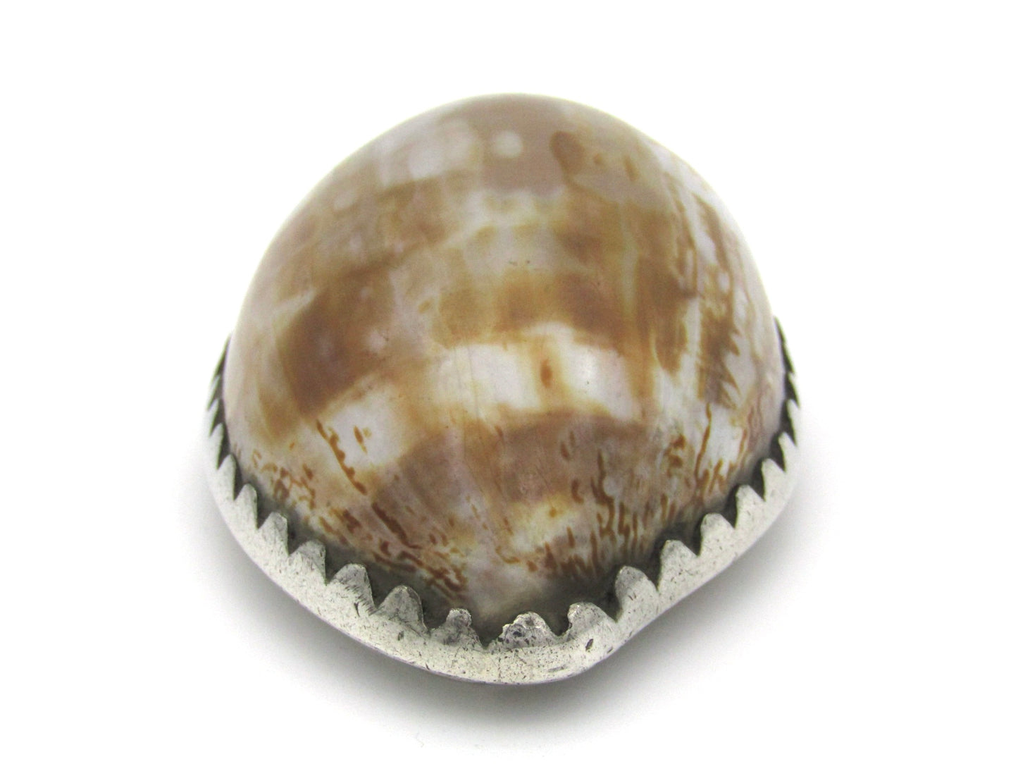 Cape silver cowrie shell snuff box by John Townsend, Circa 1825.